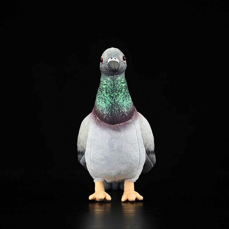 Common Pigeon Bird Soft Stuffed Plush Toy