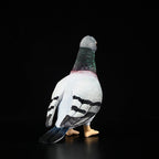 Common Pigeon Bird Soft Stuffed Plush Toy