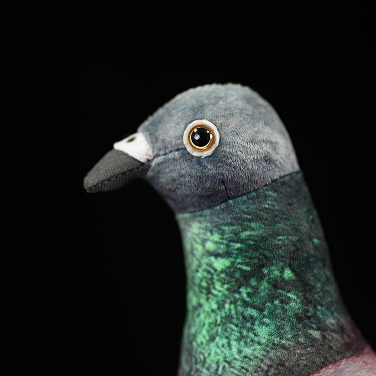 Common Pigeon Bird Soft Stuffed Plush Toy