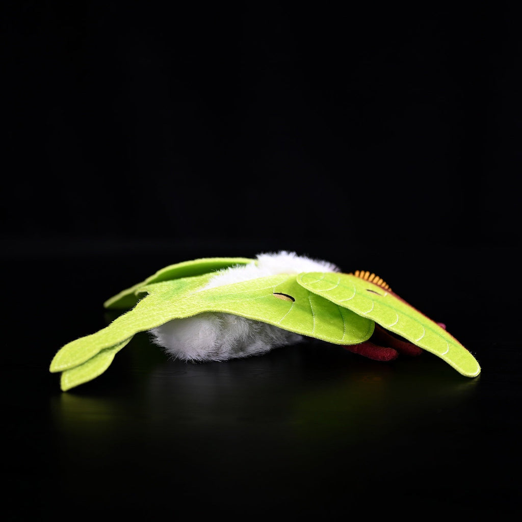 Indian Moon Moth Soft Stuffed Plush Toy