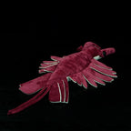 Anomalocaris Arthropod Soft Stuffed Plush Toy
