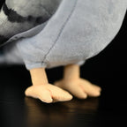 Common Pigeon Bird Soft Stuffed Plush Toy