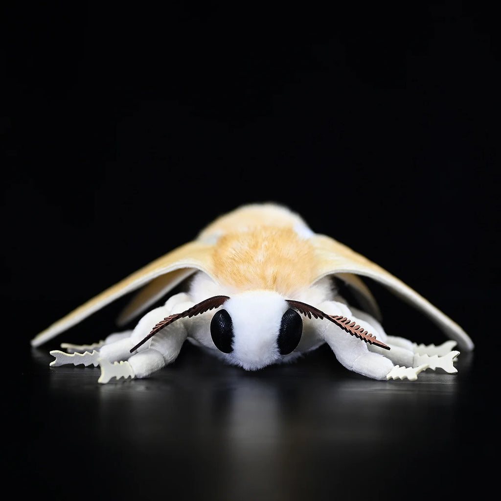 Silkworm Moth Soft Stuffed Plush Toy
