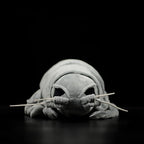 Giant Isopod Soft Stuffed Plush Toy