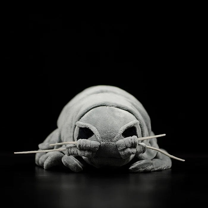 Giant Isopod Soft Stuffed Plush Toy