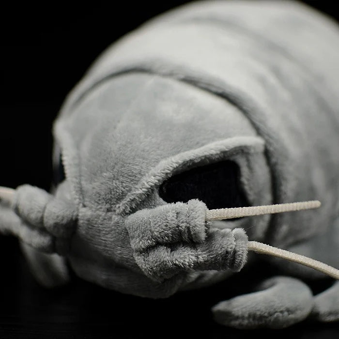 Giant Isopod Soft Stuffed Plush Toy