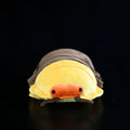 Rubber Ducky Isopod Soft Stuffed Plush Toy