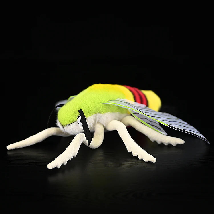 Pellucid Hawkmoth Soft Stuffed Plush Toy