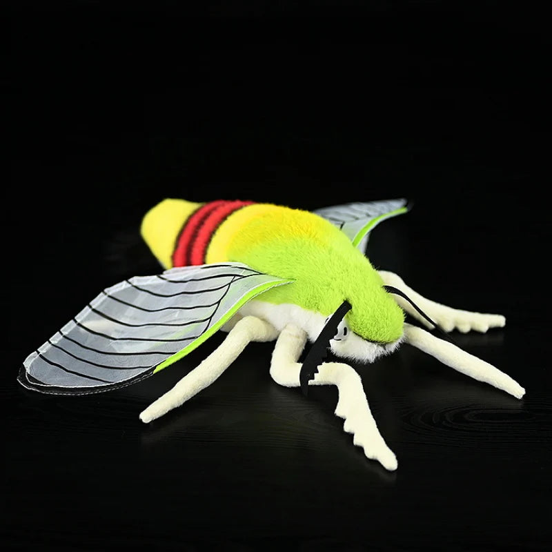Pellucid Hawkmoth Soft Stuffed Plush Toy