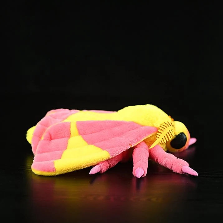 Rosy Maple Moth Soft Stuffed Plush Toy