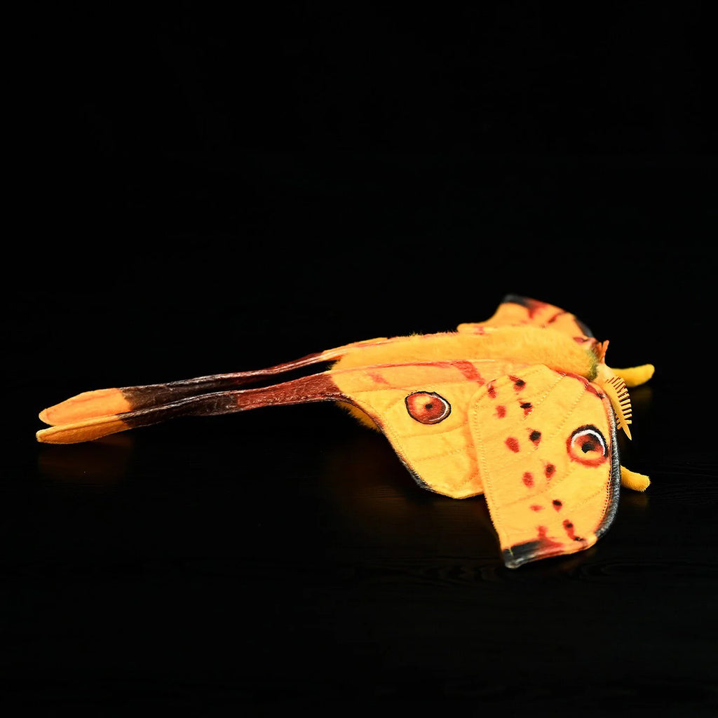 Comet Moth Soft Stuffed Plush Toy