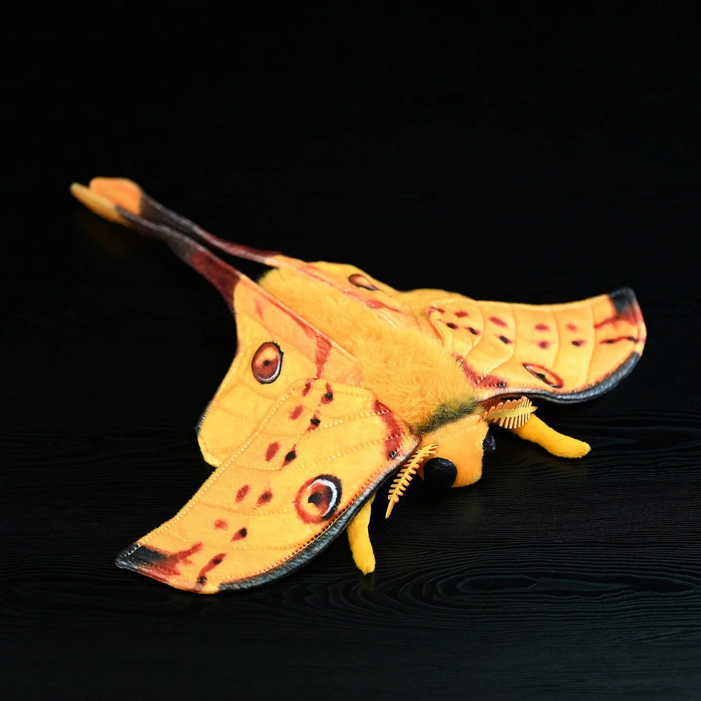 Comet Moth Soft Stuffed Plush Toy