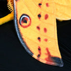 Comet Moth Soft Stuffed Plush Toy