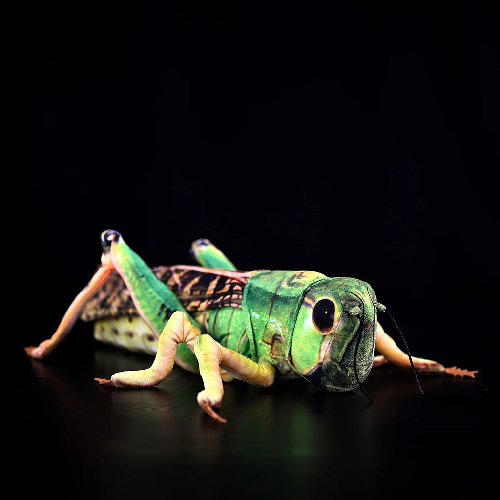 Green Grasshopper Plush Toy – Perfect for Insect Enthusiasts