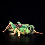Green Grasshopper Plush Toy – Perfect for Insect Enthusiasts
