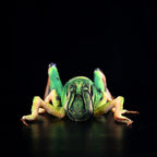 Green Grasshopper Plush Toy – Perfect for Insect Enthusiasts