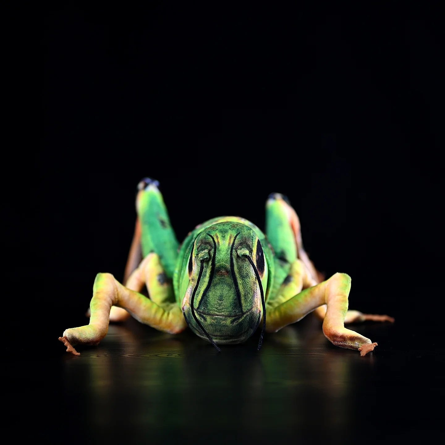 Green Grasshopper Plush Toy – Perfect for Insect Enthusiasts
