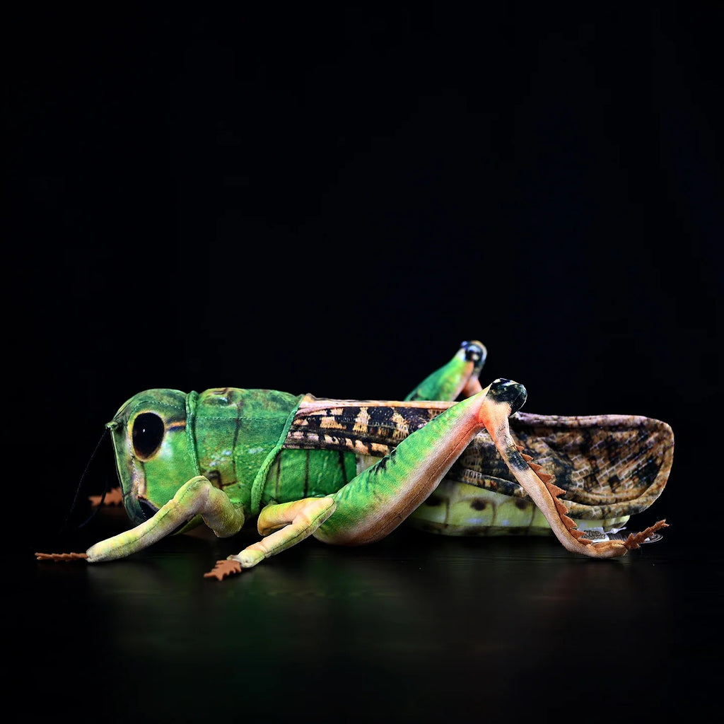Green Grasshopper Plush Toy – Perfect for Insect Enthusiasts