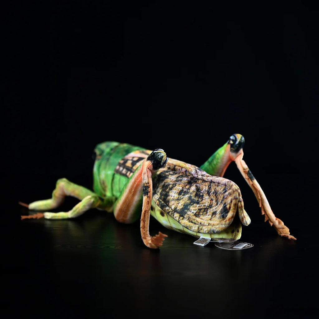 Green Grasshopper Plush Toy – Perfect for Insect Enthusiasts