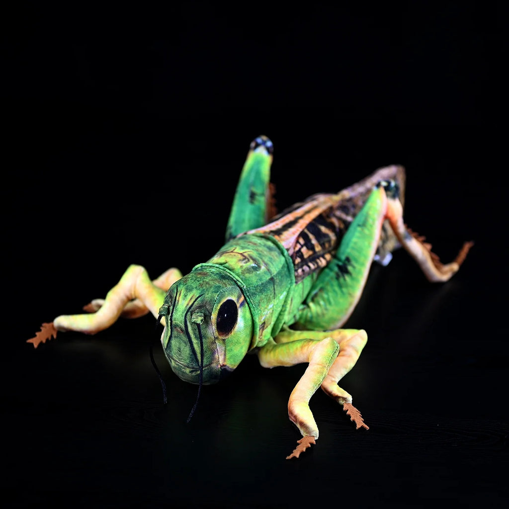 Green Grasshopper Plush Toy – Perfect for Insect Enthusiasts