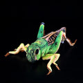 Green Grasshopper Plush Toy – Perfect for Insect Enthusiasts