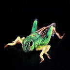 Green Grasshopper Plush Toy – Perfect for Insect Enthusiasts