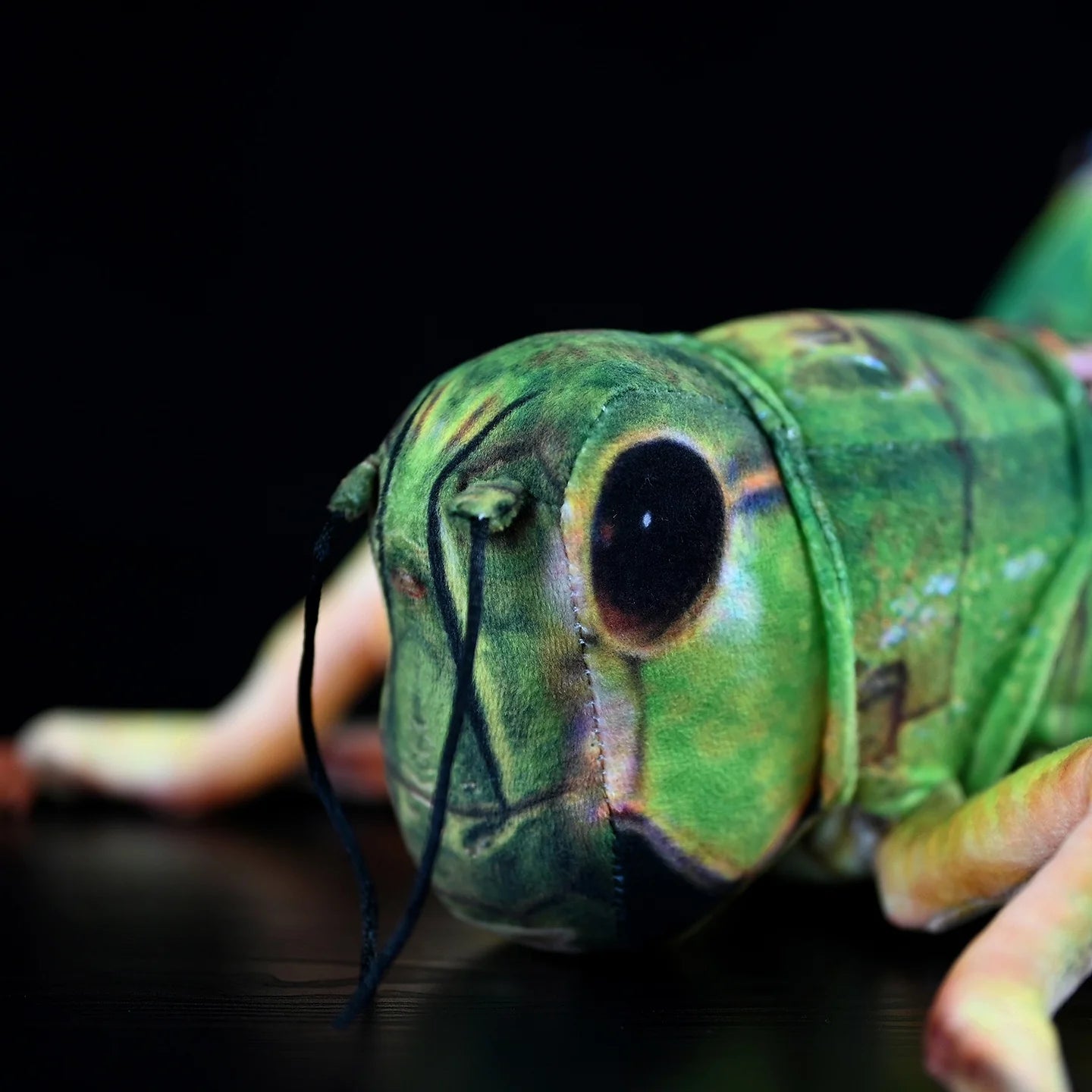 Green Grasshopper Plush Toy – Perfect for Insect Enthusiasts