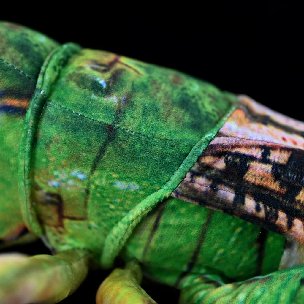 Green Grasshopper Plush Toy – Perfect for Insect Enthusiasts
