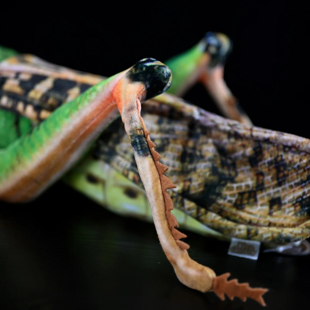 Green Grasshopper Plush Toy – Perfect for Insect Enthusiasts