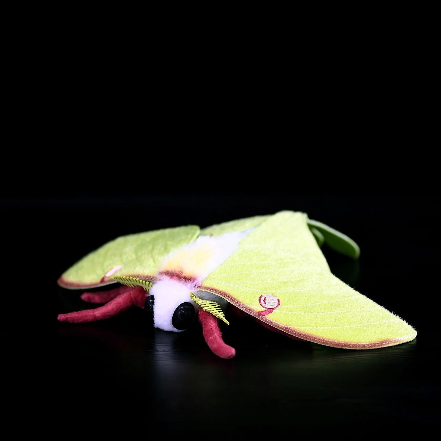 Luna Moth Plush – Soft and Lifelike American Moon Moth