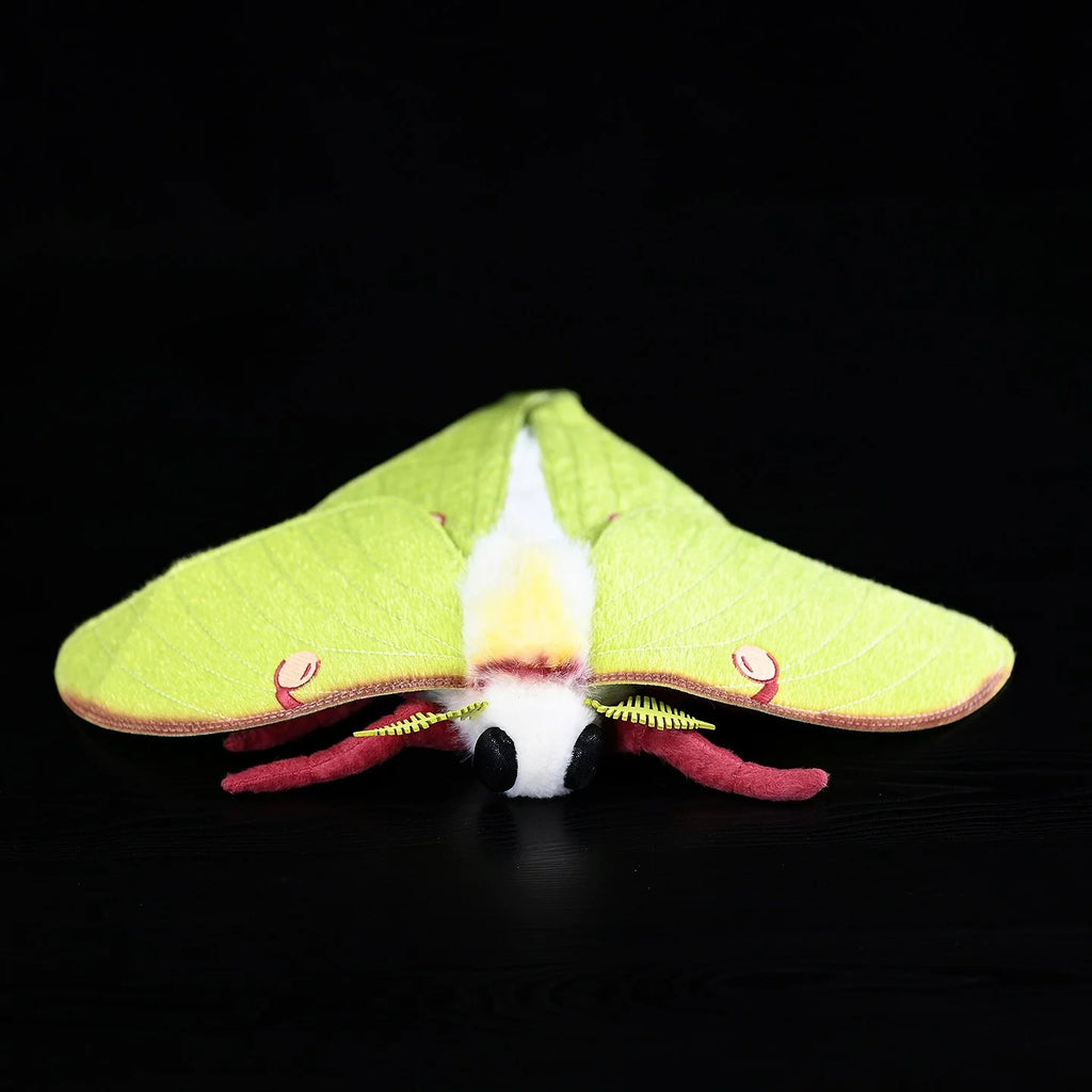 Luna Moth Plush – Soft and Lifelike American Moon Moth