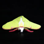 Luna Moth Plush – Soft and Lifelike American Moon Moth