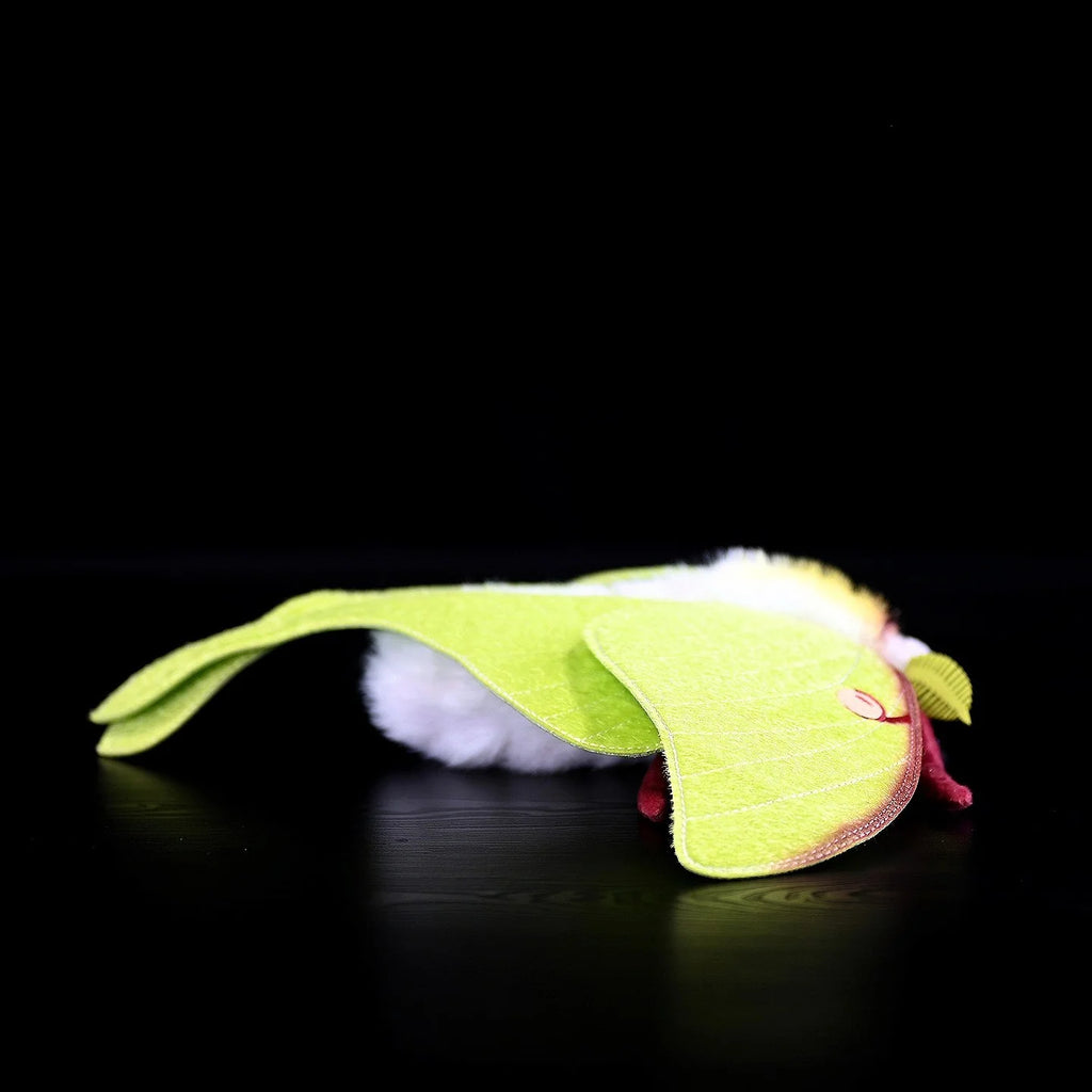 Luna Moth Plush – Soft and Lifelike American Moon Moth