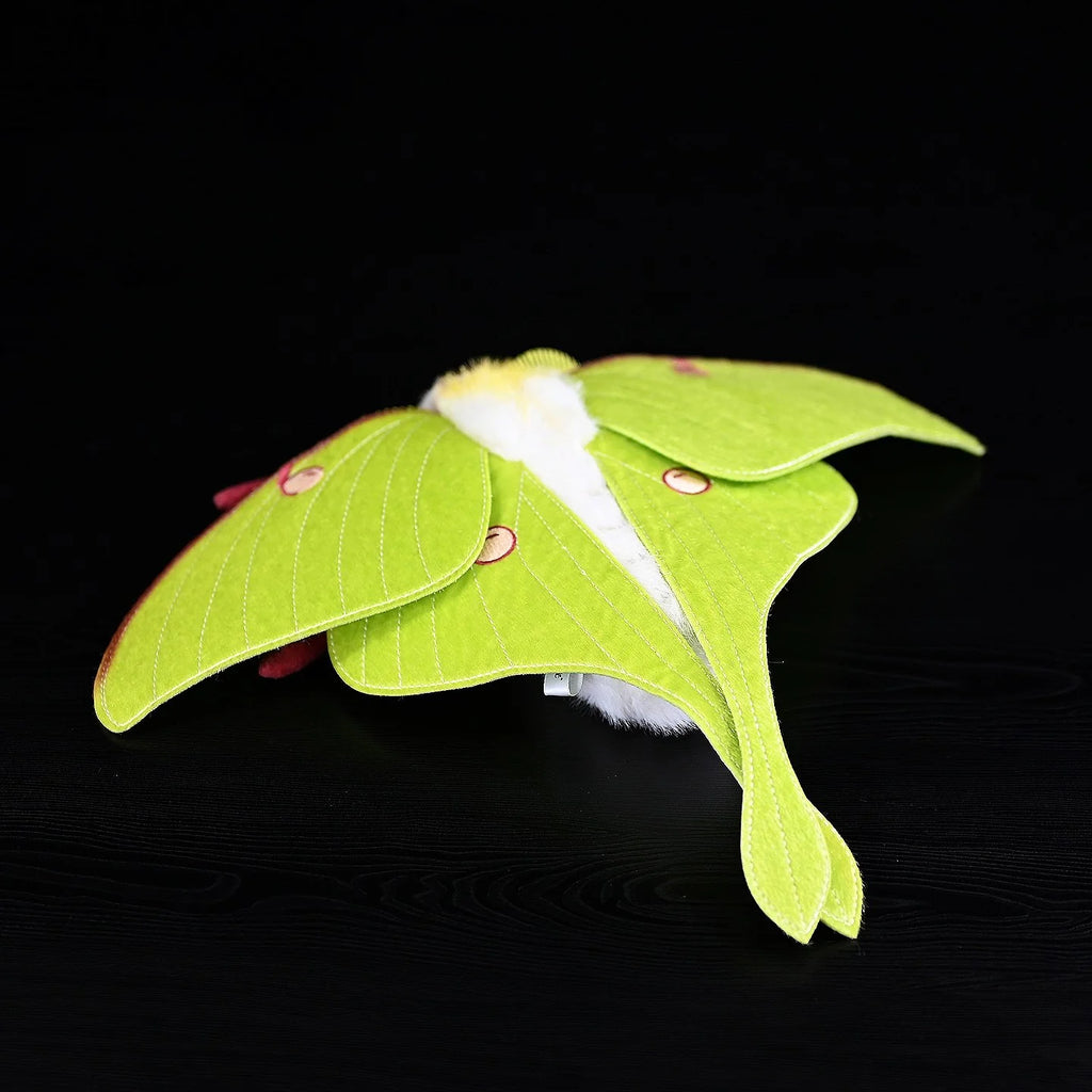 Luna Moth Plush – Soft and Lifelike American Moon Moth