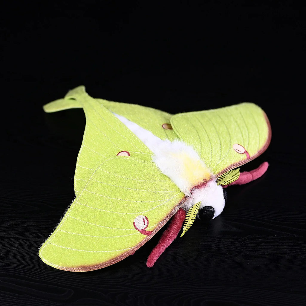 Luna Moth Plush – Soft and Lifelike American Moon Moth