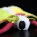 Luna Moth Plush – Soft and Lifelike American Moon Moth