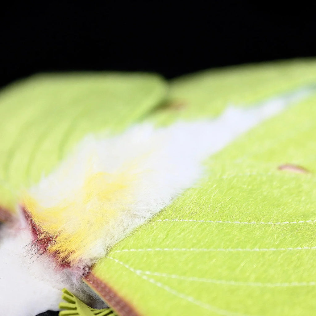 Luna Moth Plush – Soft and Lifelike American Moon Moth